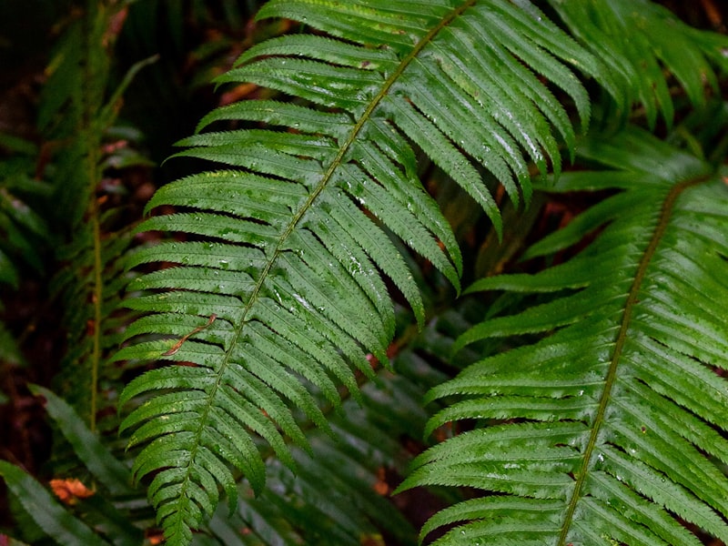 Performance monitoring